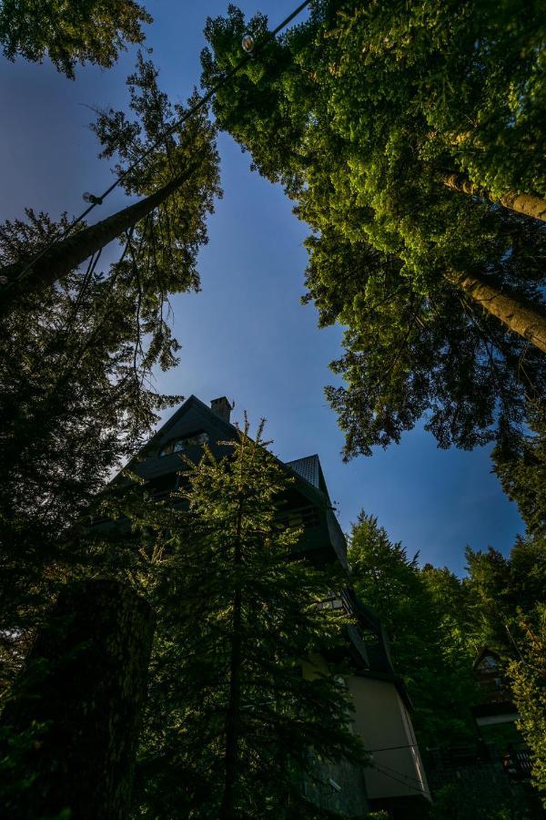 Hotel Smart Sinaia Luaran gambar