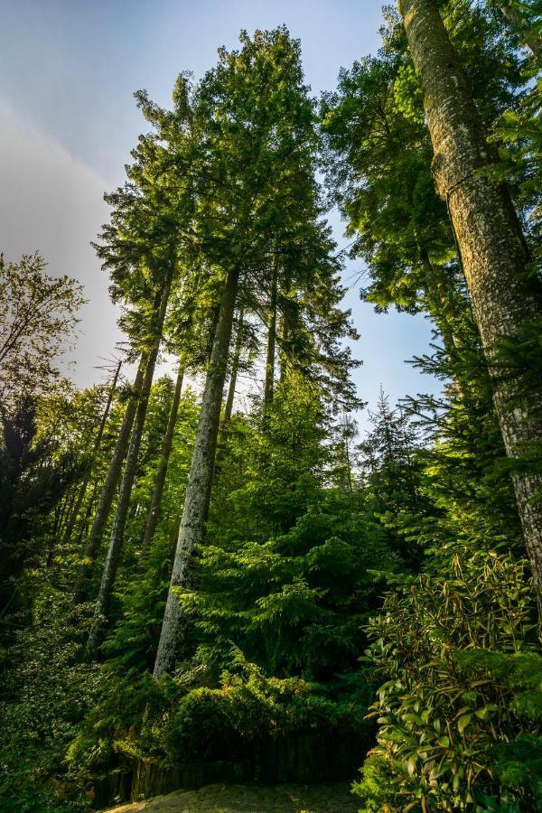 Hotel Smart Sinaia Luaran gambar
