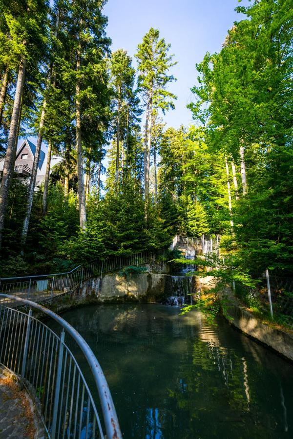 Hotel Smart Sinaia Luaran gambar
