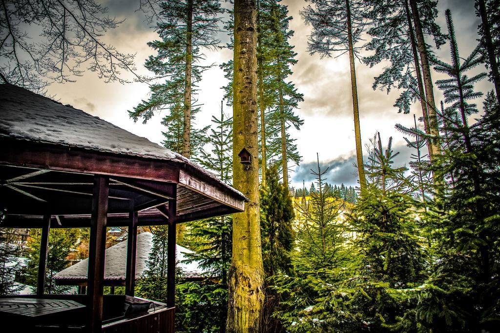 Hotel Smart Sinaia Luaran gambar